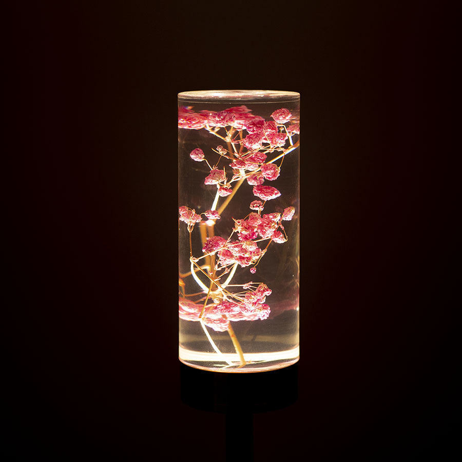 Gypsophila Paniculata Eternal Flower Acrylic Table Lamp | Color-Changing LED | USB Rechargeable | Touch Control