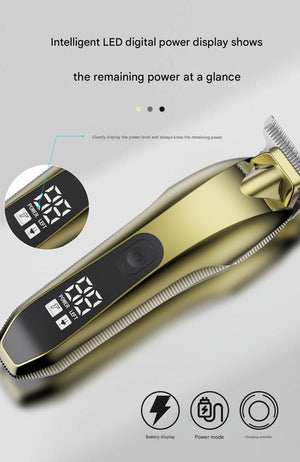 Electric Hair Clipper & Beard Trimmer | USB Rechargeable | LED Display | Silver