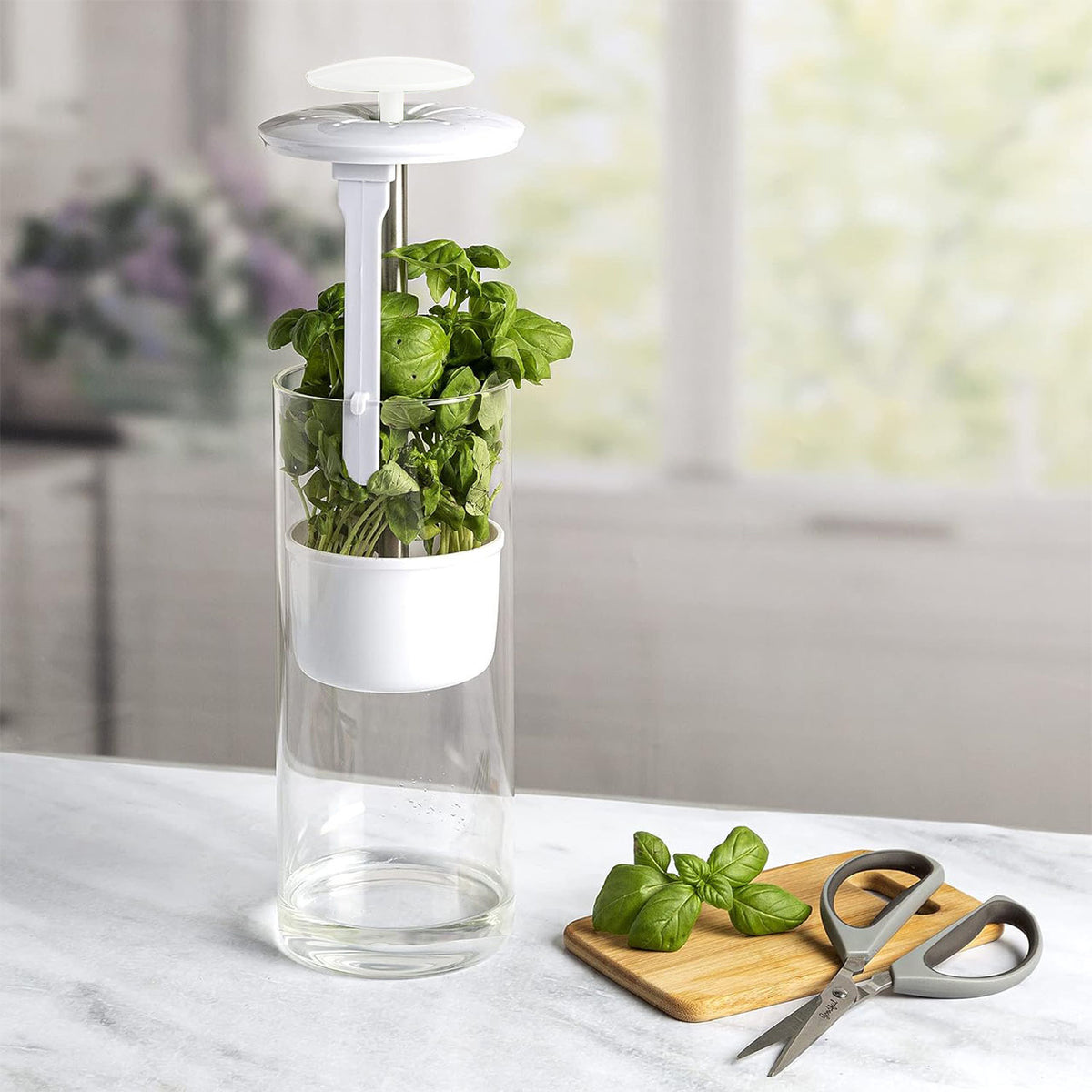 Herb Keeper | Premium Savor & Freshness Preserver | Extends Life of Herbs | White