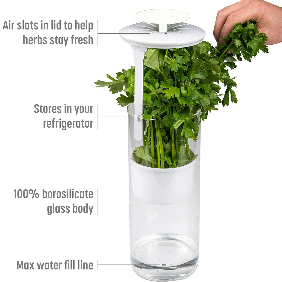 Herb Keeper | Premium Savor & Freshness Preserver | Extends Life of Herbs | Green