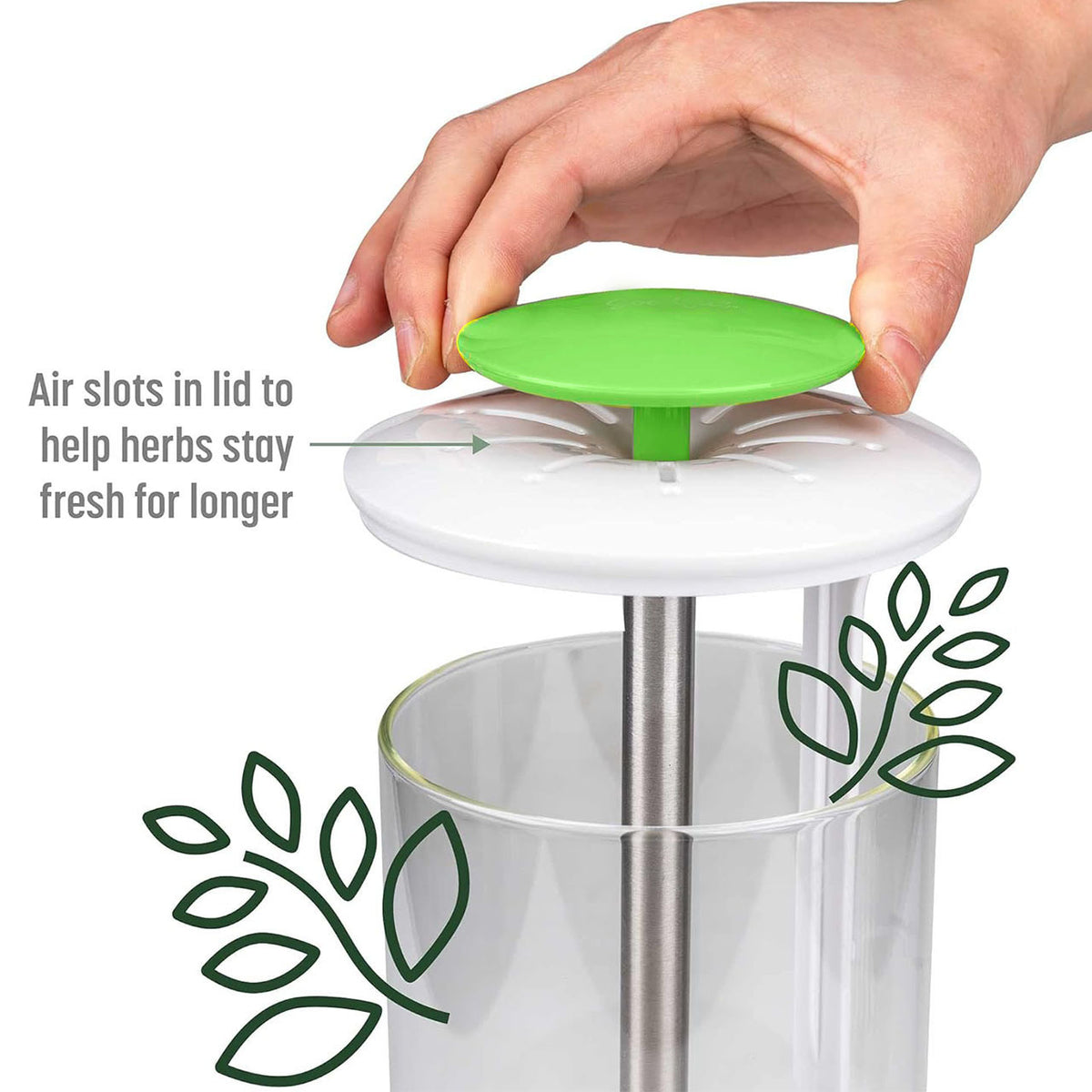 Herb Keeper | Premium Savor & Freshness Preserver | Extends Life of Herbs | Green