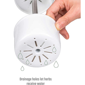 Herb Keeper | Premium Savor & Freshness Preserver | Extends Life of Herbs | Green