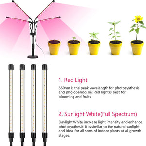 LED Grow Light | 4-Head | Adjustable Full Spectrum | Desktop Plant Lamp | USB Powered | Black