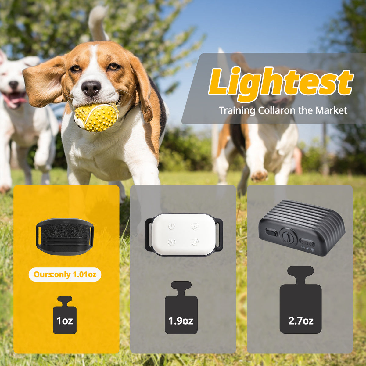 Dog Training Collar with Remote | Ultra-Small & Lightweight | 3 Modes & Adjustable Levels | Black