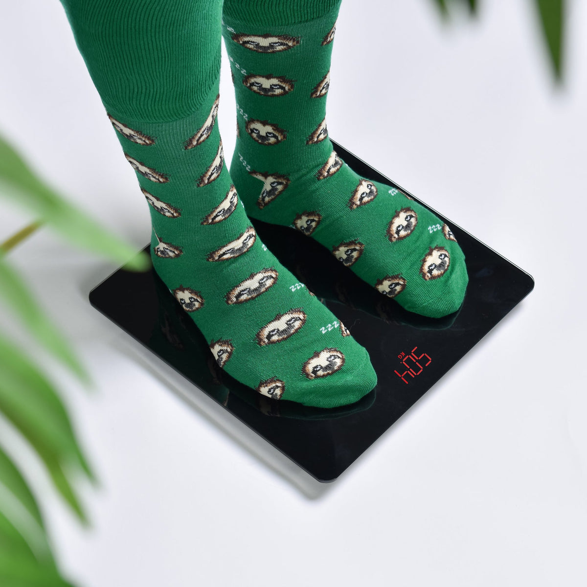 Clevinger Digital Glass Bathroom Scale | Max Capacity 180KG, Modern Design