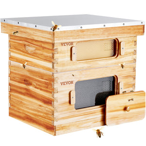 Bee Hive Starter Kit 20 Frame | Beeswax Coated Cedar Wood Langstroth Beehive | 1 Deep + 1 Medium Box with Transparent Windows | For Beginners & Pro Beekeepers