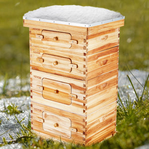 Bee Hive Starter Kit 40 Frame | Beeswax Coated Cedar Wood Langstroth Beehive | 2 Deep + 2 Medium Boxes with Transparent Windows | For Beginners & Pro Beekeepers