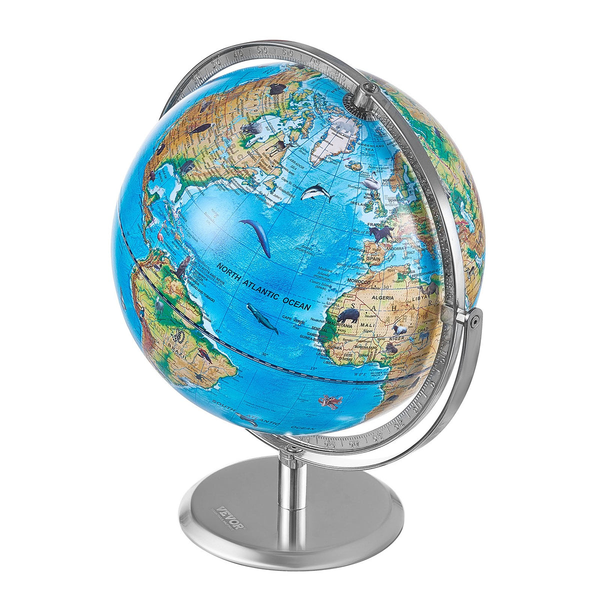 Educational AR Globe | 254mm Interactive World Globe with LED Light & Mobile App