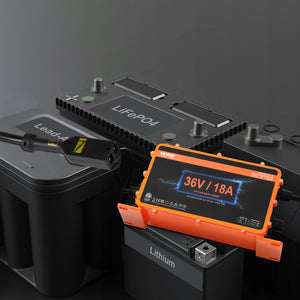 Golf Cart Charger | 18A Smart Battery Charger for EZGO D-Style | IP67