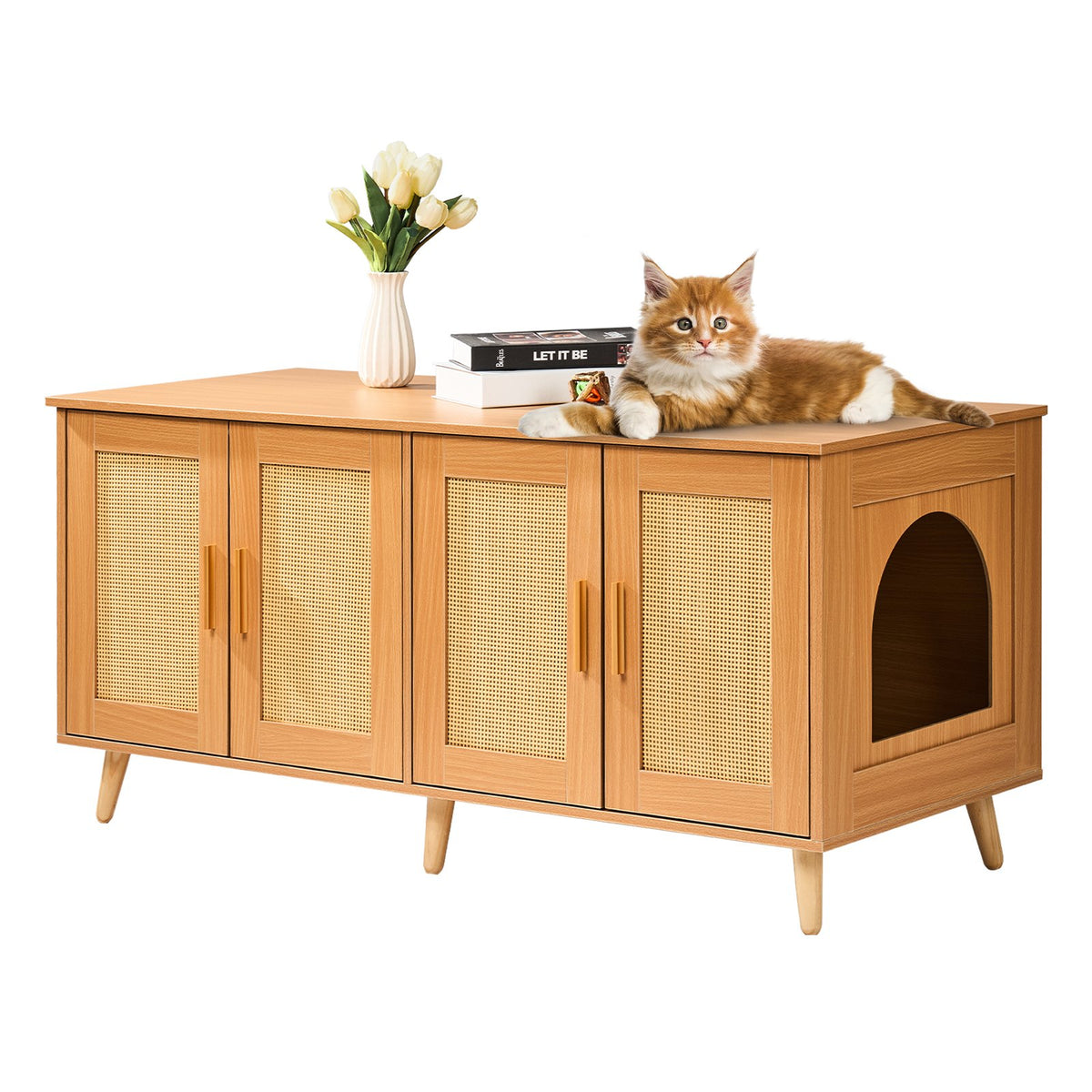 Cat Litter Box Enclosure | Wooden Furniture for 2 Cats