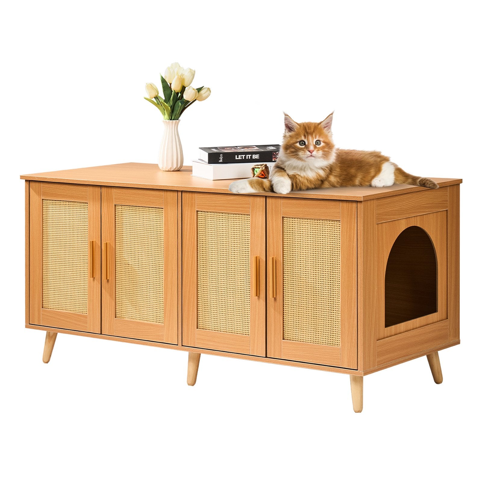 Cat Litter Box Enclosure | Wooden Furniture for 2 Cats