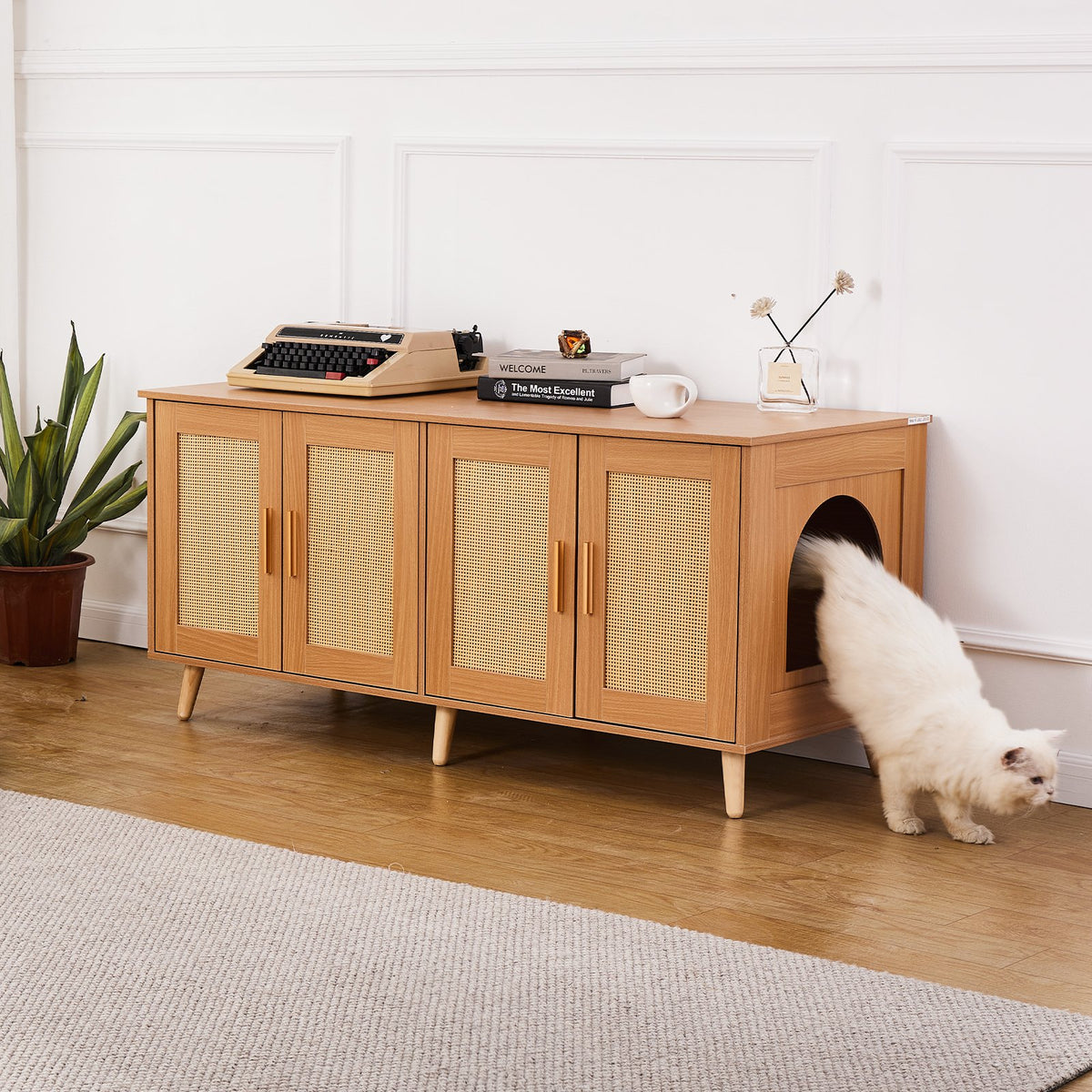 Cat Litter Box Enclosure | Wooden Furniture for 2 Cats