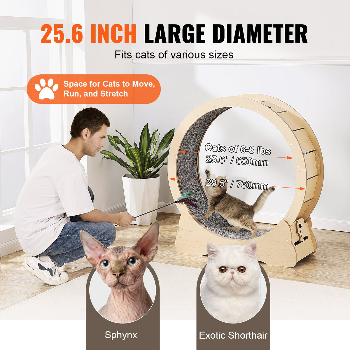 Cat Exercise Wheel | 29.5" Large Treadmill for Indoor Cats