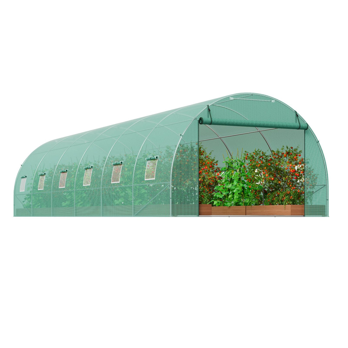 Walk-in Greenhouse | 29.2x9.7x6.5 ft PE Cover with Galvanized Frame