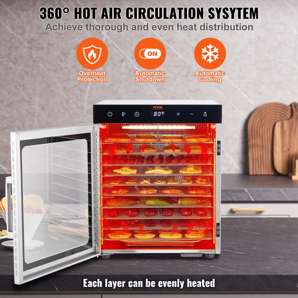 Food Dehydrator | 10-Tray 800W Stainless Steel Jerky & Fruit Dryer