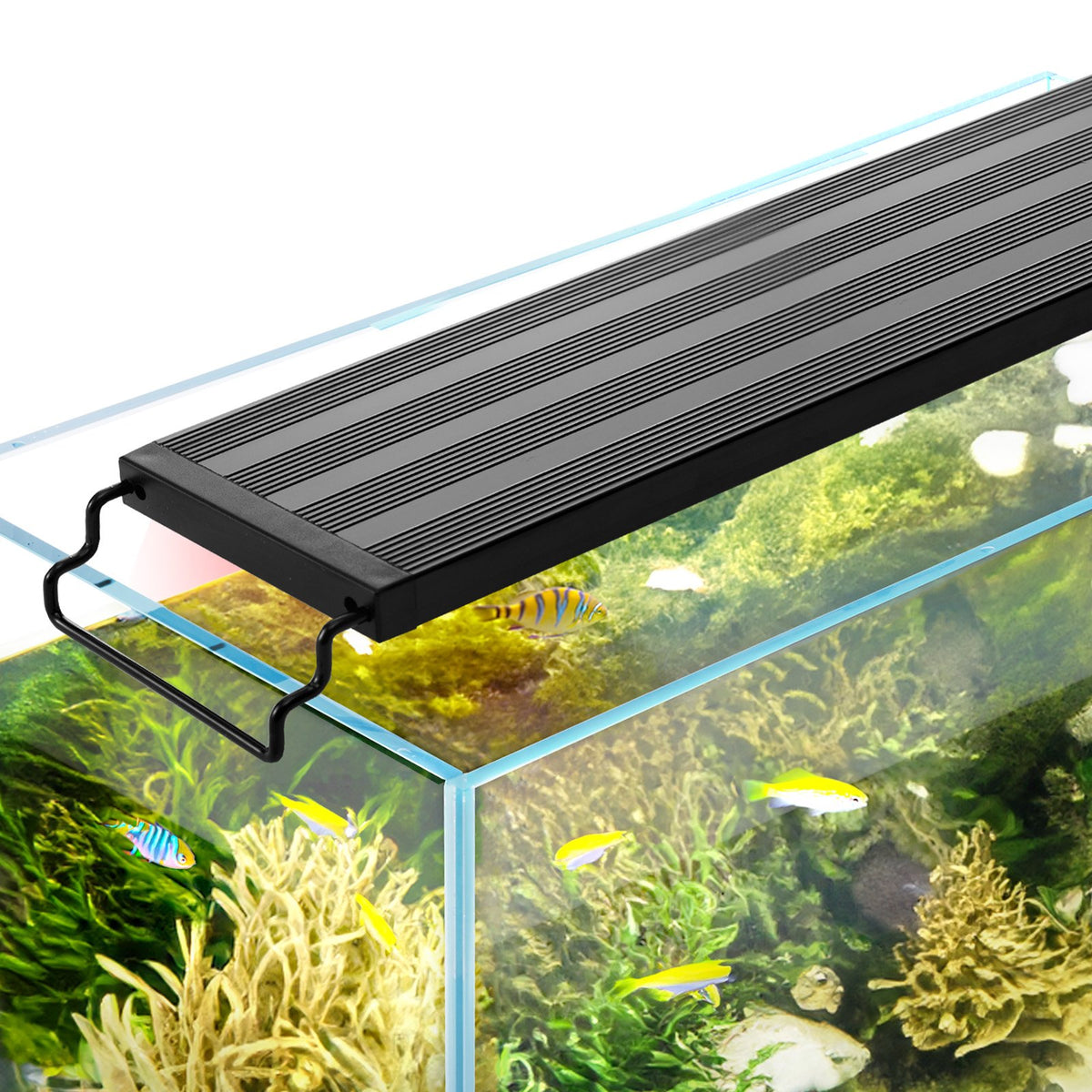 Aquarium Light | 26W Full Spectrum LED for 36–42" Fish Tanks