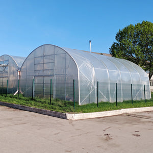Greenhouse Plastic Film | 12x50 ft Clear 6 Mil Polyethylene