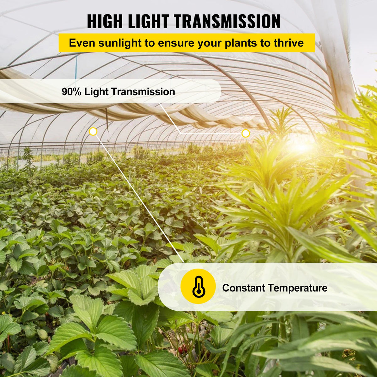 Greenhouse Film 24x100ft | 6 Mil Clear Polyethylene Sheeting | UV Proof Greenhouse Plastic Cover | For Gardening, Farming & Agriculture