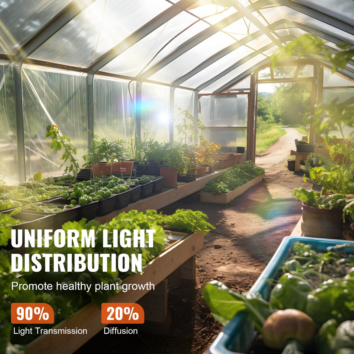 Greenhouse Film | 7.6x7.6m Clear Polyethylene 6 Mil | UV-Resistant Plastic Sheeting for Gardening & Agriculture
