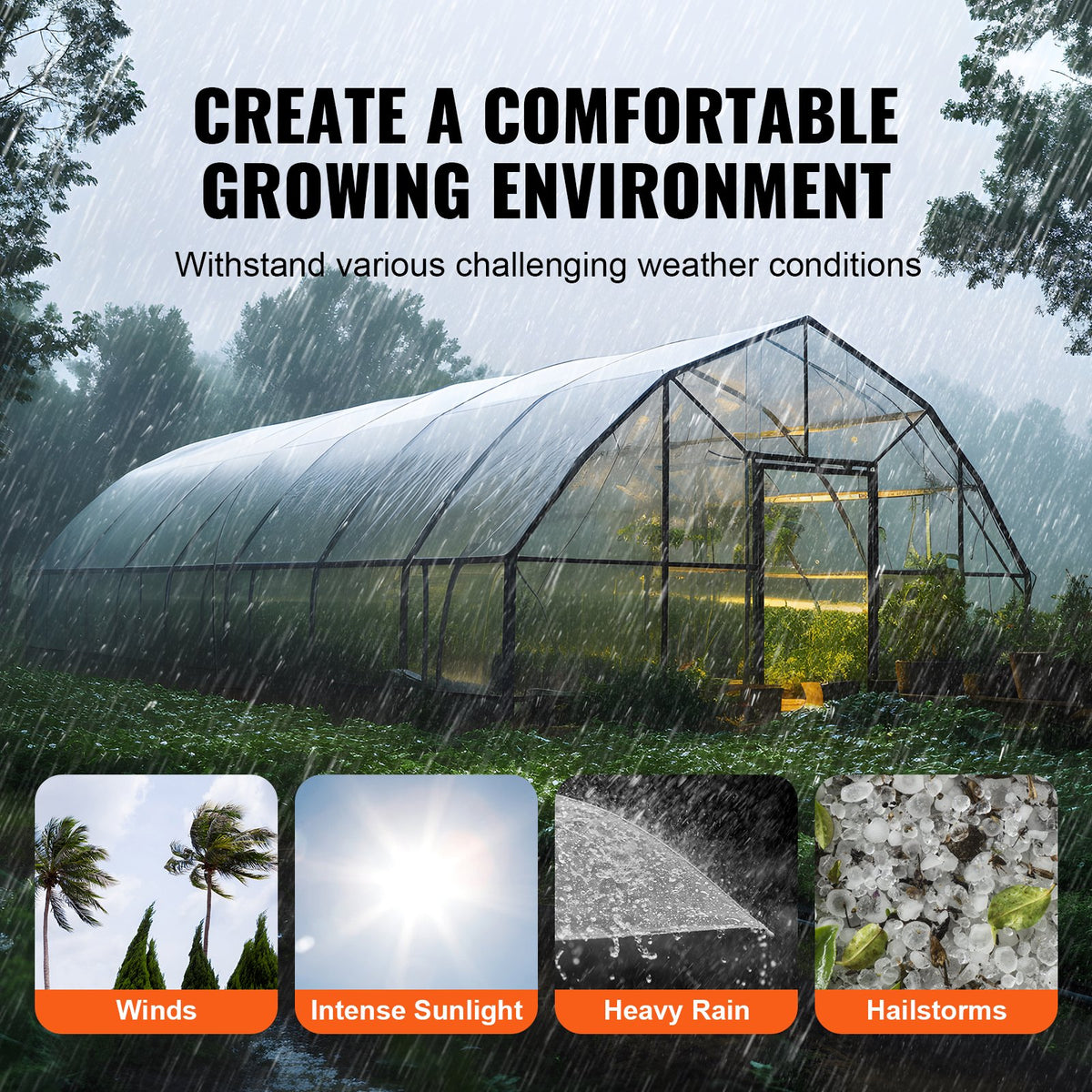 Greenhouse Film | 7.6x7.6m Clear Polyethylene 6 Mil | UV-Resistant Plastic Sheeting for Gardening & Agriculture