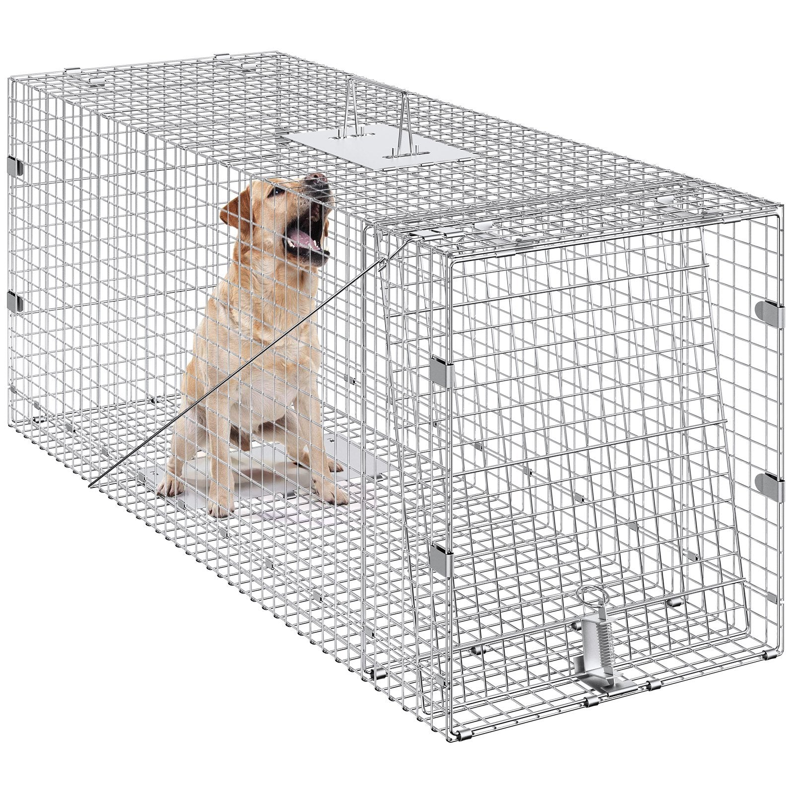Live Animal Trap Cage | 50x20x26" Folding Galvanized Iron Humane Trap | For Stray Dogs, Raccoons, Foxes, Marmots