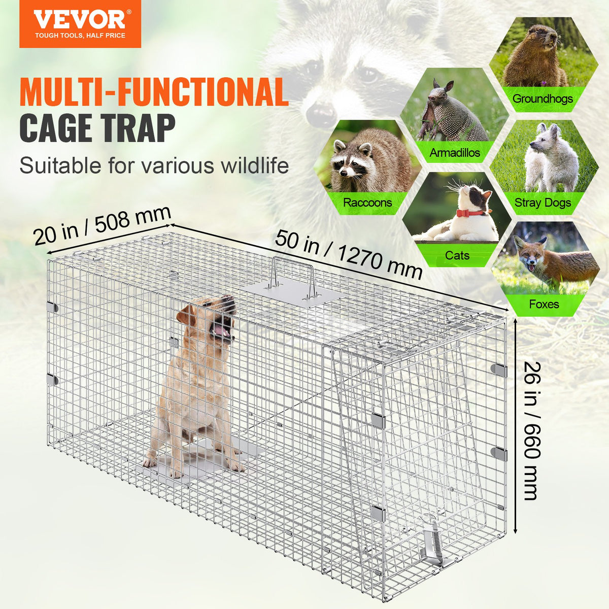 Live Animal Trap Cage | 50x20x26" Folding Galvanized Iron Humane Trap | For Stray Dogs, Raccoons, Foxes, Marmots
