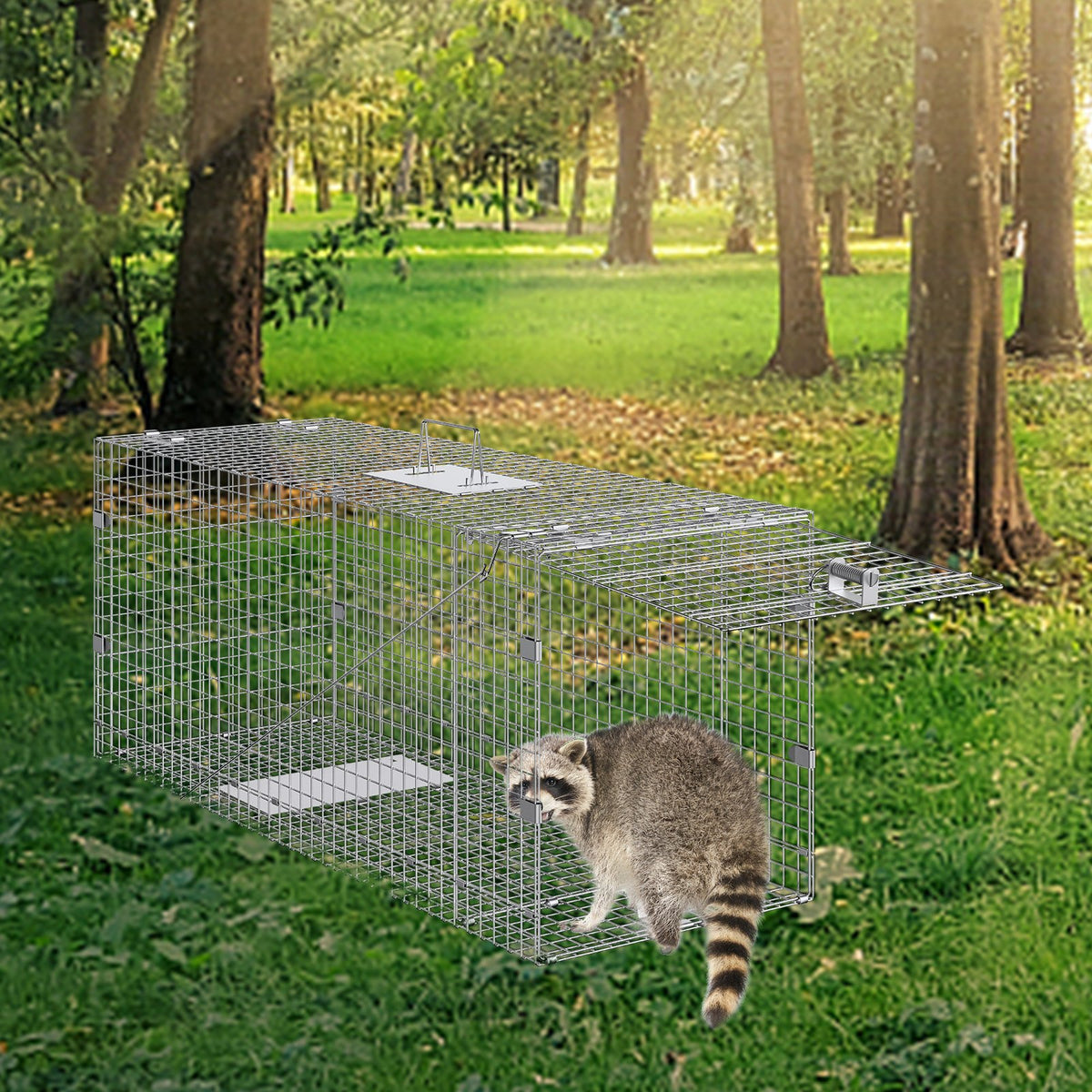 Live Animal Trap Cage | 50x20x26" Folding Galvanized Iron Humane Trap | For Stray Dogs, Raccoons, Foxes, Marmots