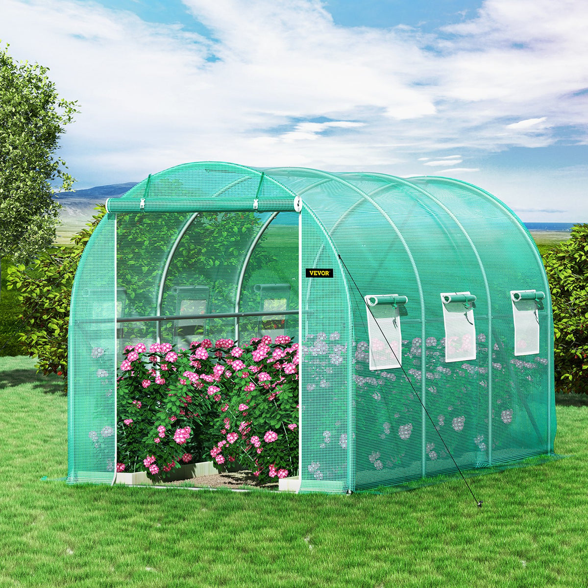 Walk-in Tunnel Greenhouse | 12x7x7 ft | Galvanised Frame & Waterproof Cover