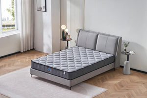 Aster Hybrid 22cm Thickness Euro Top Mattress | Double