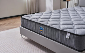 Aster Hybrid 22cm Thickness Euro Top Mattress | Single