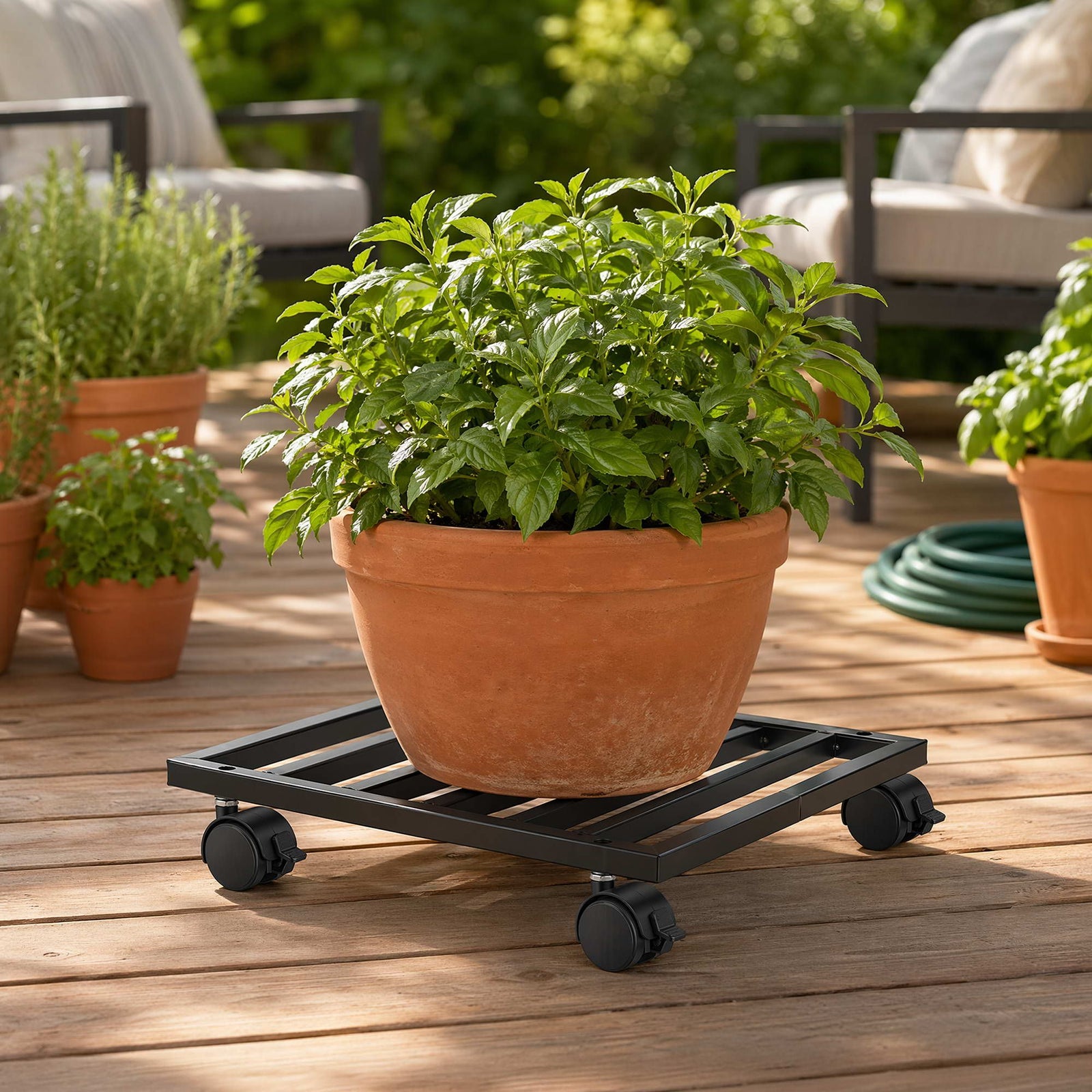 Plant Pot Trolleys | 3 Pack Galvanised Rolling Planter Caddies | Black