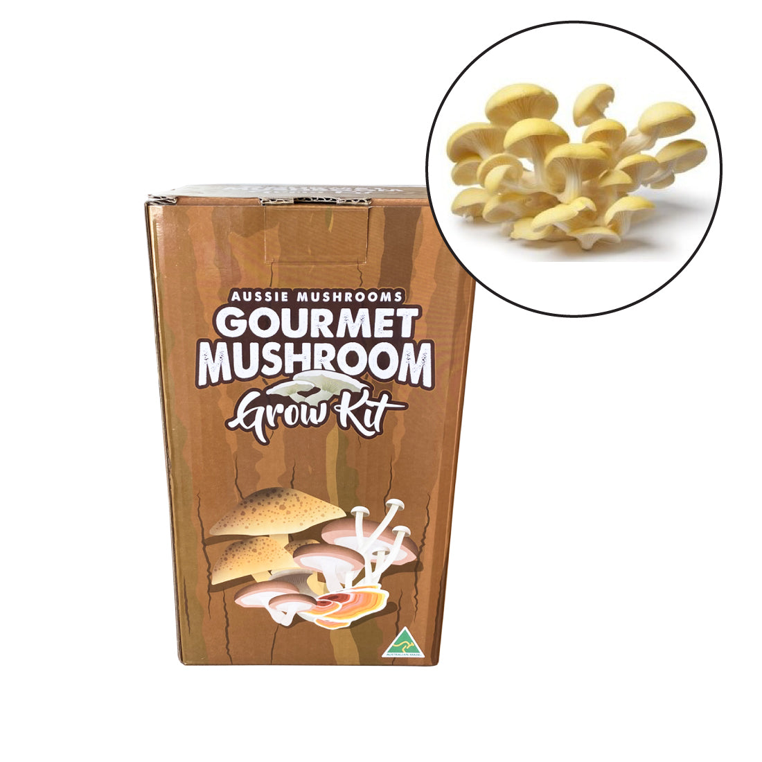 Yellow Oyster Mushroom Grow Kit | Aussie Mushrooms