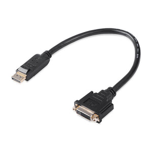 DisplayPort Male to DVI Female Converter | (20405)