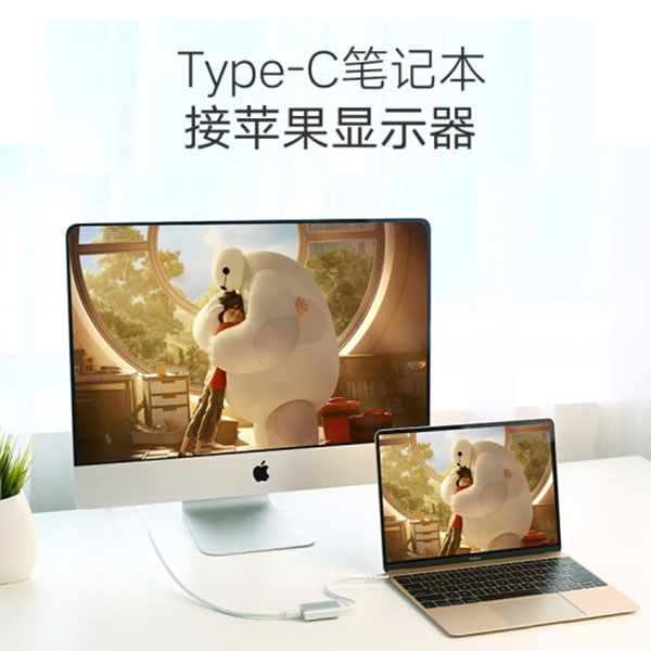 USB-C to Mini DisplayPort Adapter | 40867