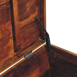 Buffalo Hide Chestnut Storage Trunk | Artisan-Crafted Design