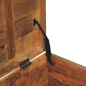 Buffalo Hide Oak-Inspired Storage Trunk | Artisan-Crafted Design