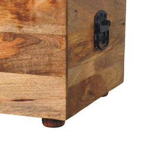 Buffalo Leather Storage Trunk | Beige Hide | Upholstered Blanket Box