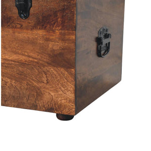 Buffalo Leather Storage Trunk | Black Hide | Upholstered Blanket Box
