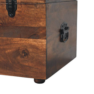 Buffalo Leather Storage Trunk | Brown Hide | Solid Wood Frame