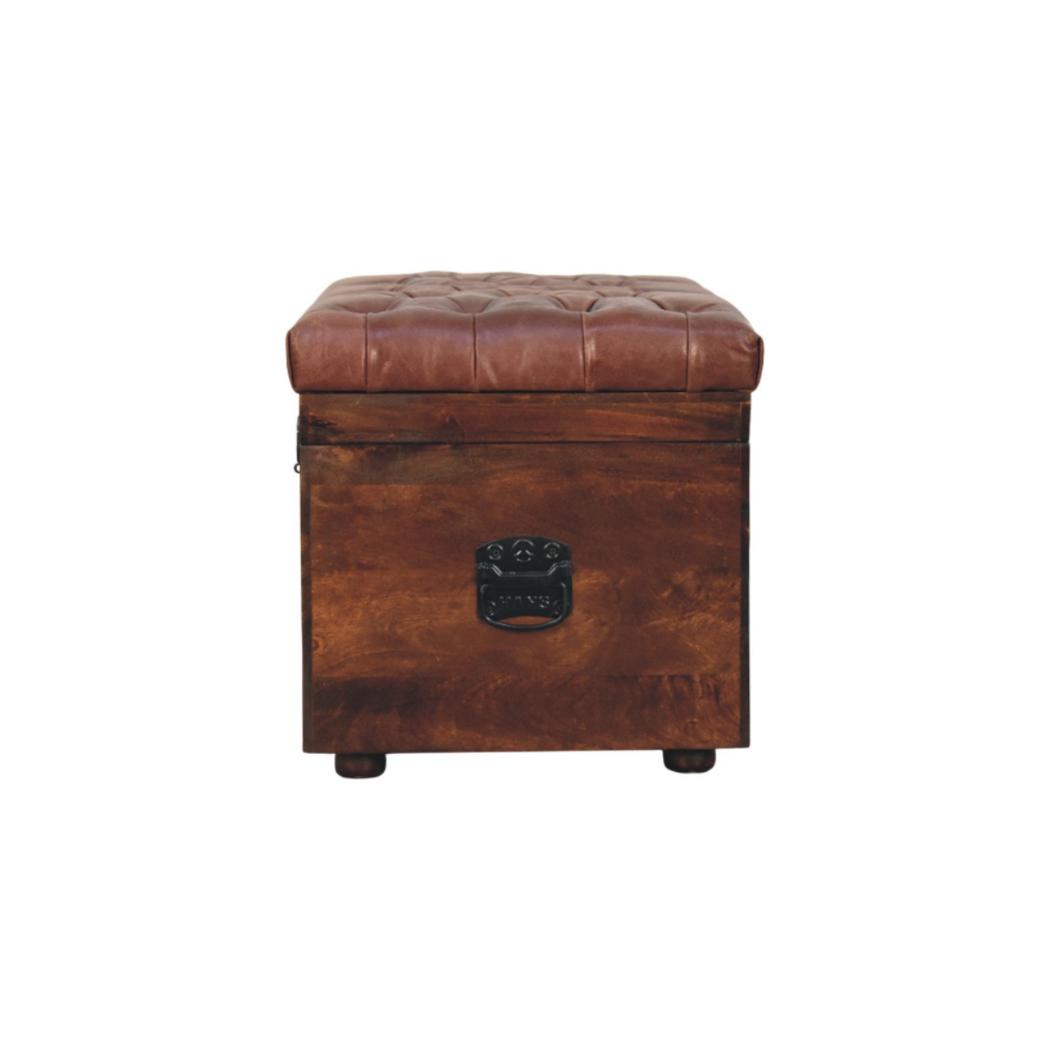 Buffalo Leather Storage Trunk | Brown Hide | Solid Wood Frame