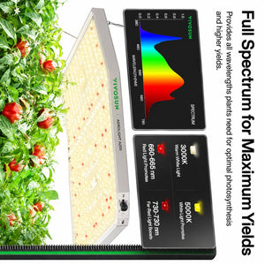 Compact Smart Grow Tent Starter Kit | 2.3x2.3 ft | 150W Full Spectrum LED