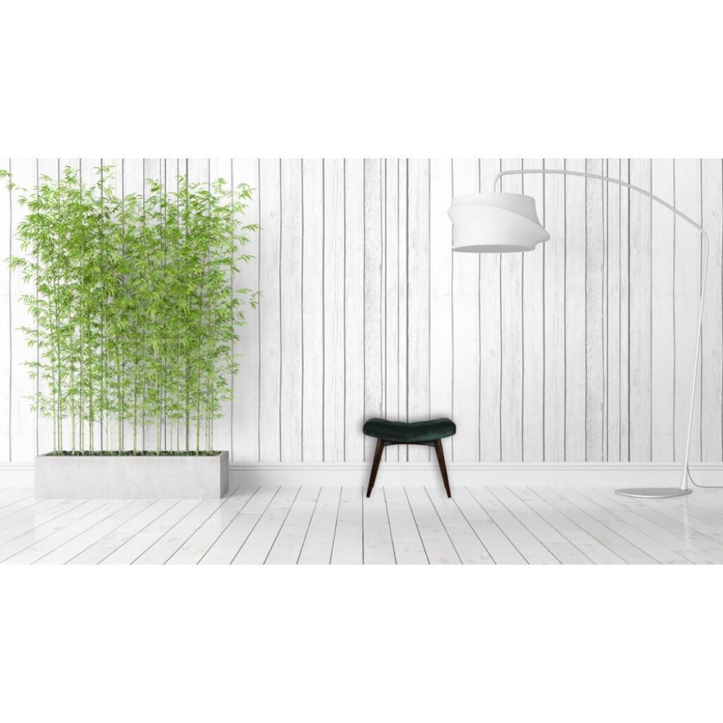 Emerald Velvet Curved Bench | Upholstered Accent Seat | Bedroom & Hallway