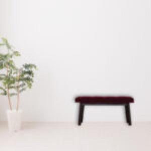 Hallway Bench | Wine Red Velvet | Solid Mango Wood Frame | Upholstered Entryway Seating
