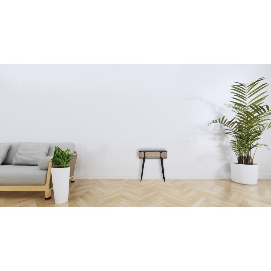 Larissa Tray Table | Solid Mango Wood | Carbon Black Finish | Removable Top Design