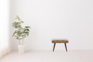 Leopard Print Deep Button Bench | Upholstered Seat | Solid Mango Wood Frame | Statement Seating