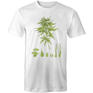 Men's Cannabis Breeding Diagram T-shirt