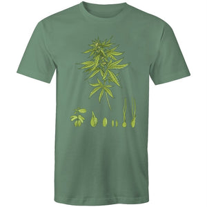 Men's Cannabis Breeding Diagram T-shirt