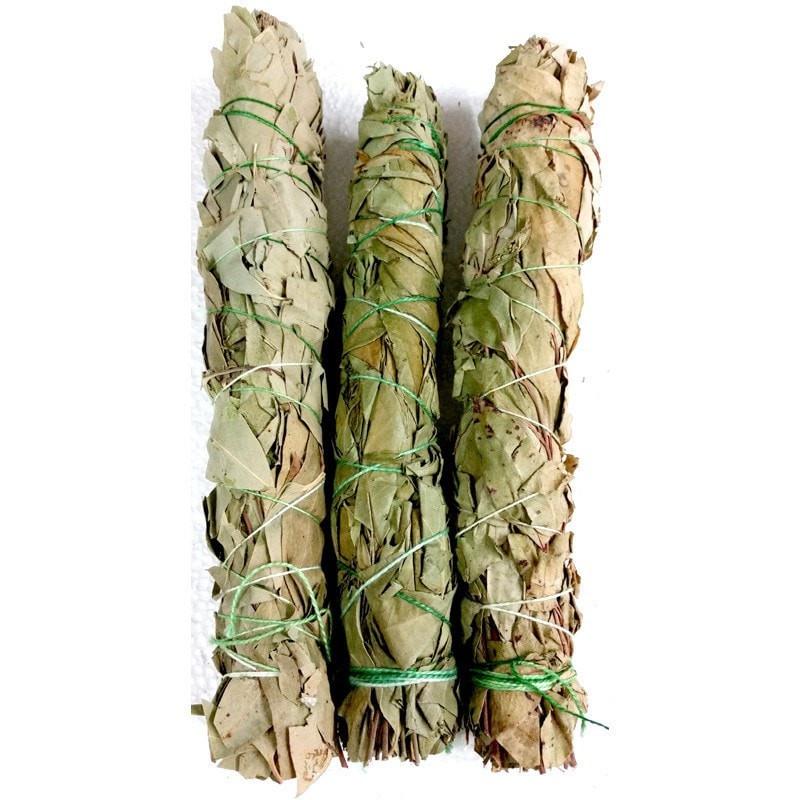 Smudge Stick - Eucalyptus