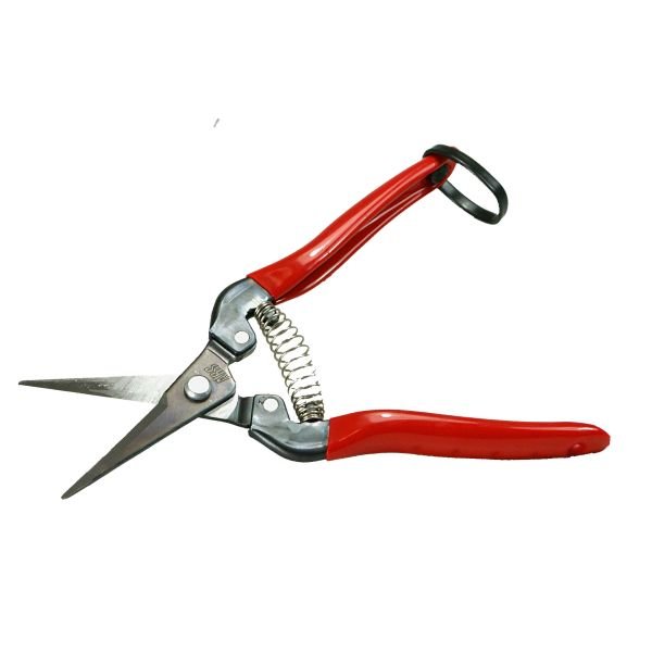 ARS Long Nose Flower Snips