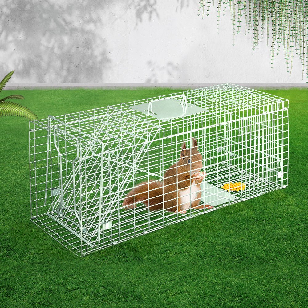 Humane Animal Trap | Live Catch Possum Cage | Rabbit Cat Hare Fox